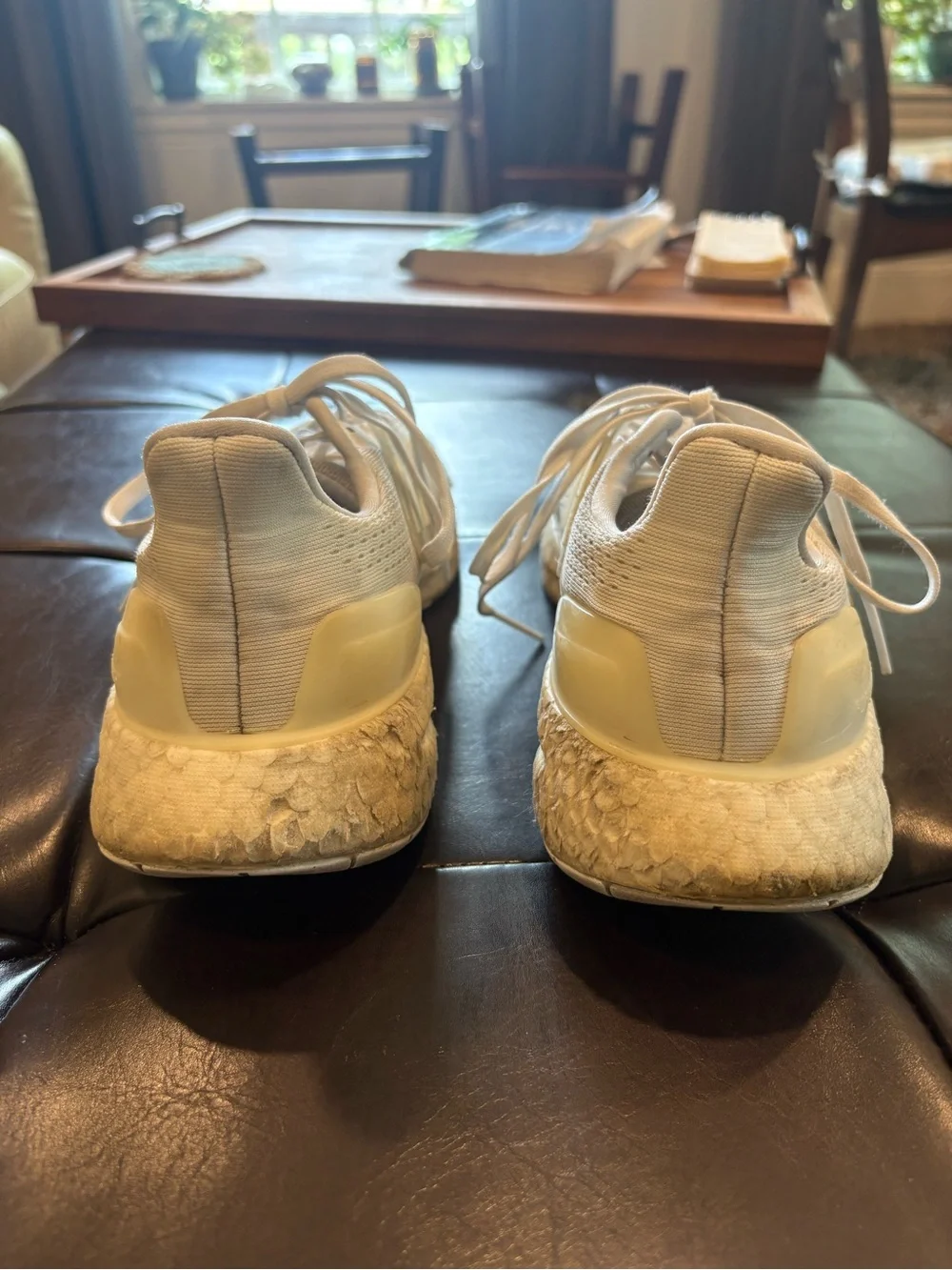 Pureboost 23 Running Shoes White Men’s 8.5
